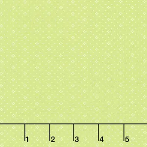 Fruit Cocktail - Eyelet Apple Yardage