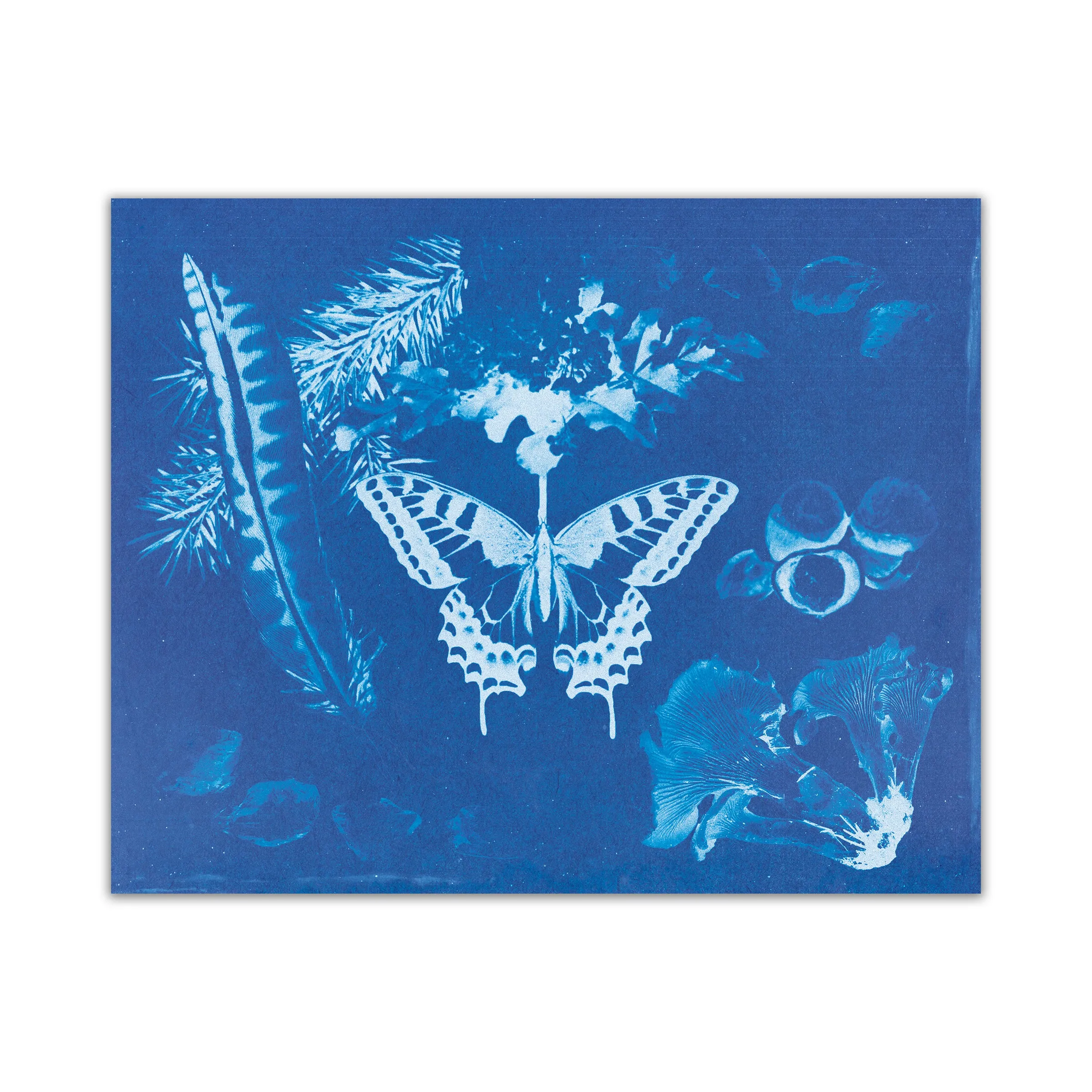 OR Cyanotype Print