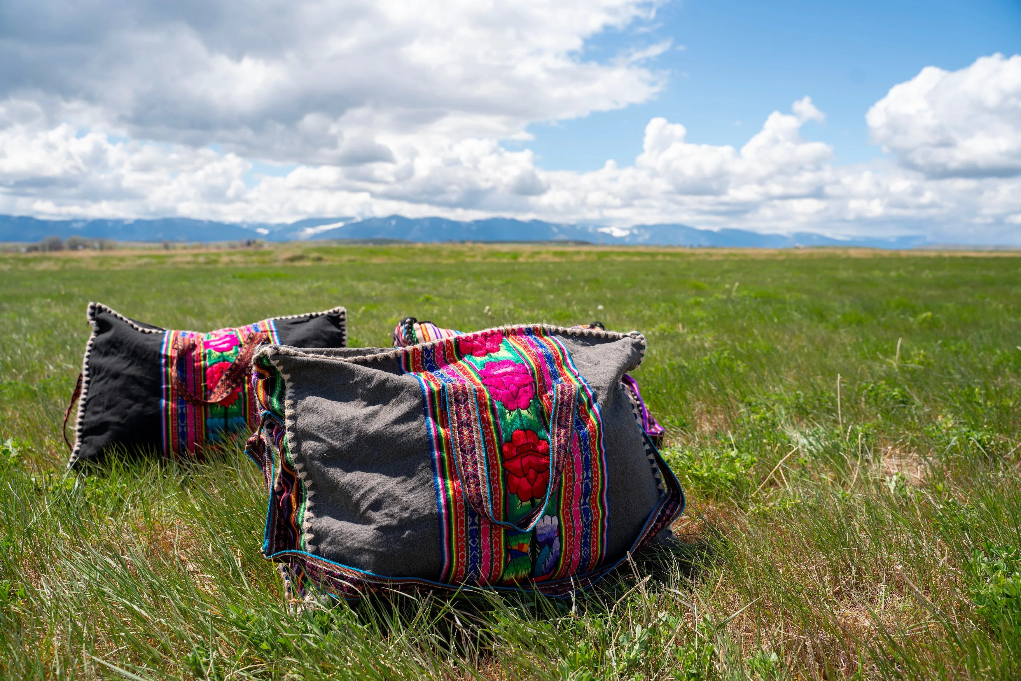 Pisco Travel Bag